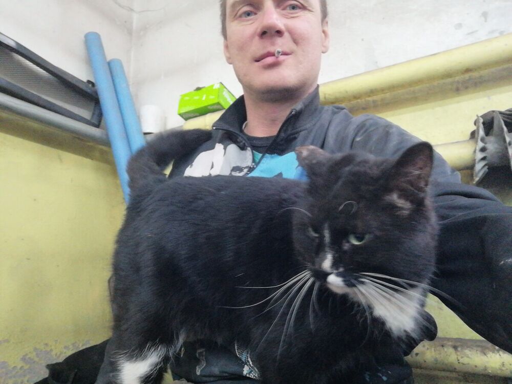 ���� 22546991 ������� ����������, 45 ���, ���� ���������� � �������������