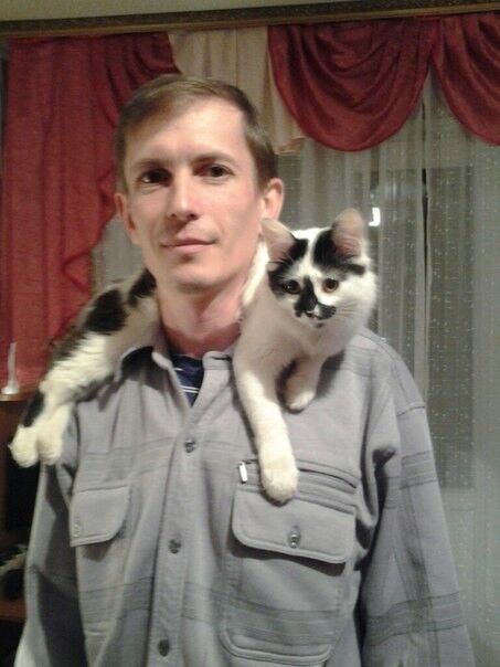 ���������� �������, ���� ������� �����, 49 ���, ������������ ��� ������, ����� � ���������, c�������� ���������