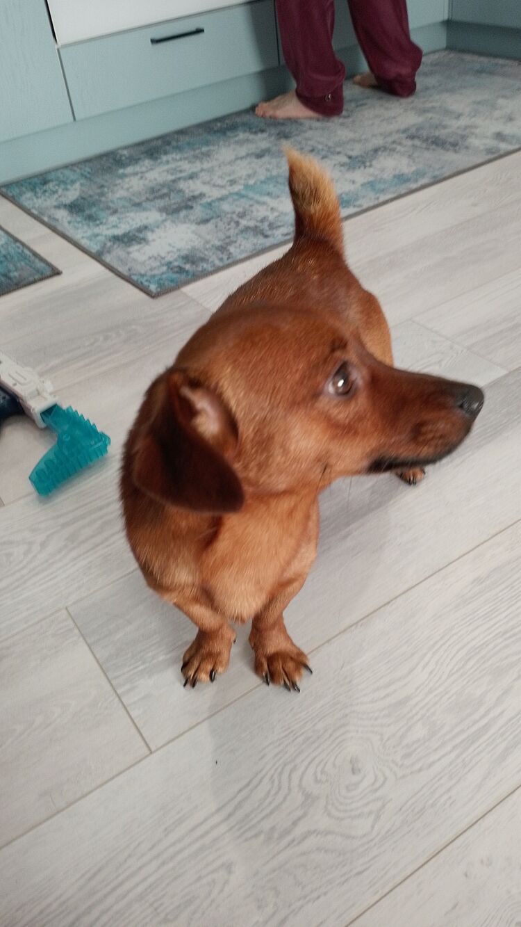 ���� 40644481 ����� ����, 25 ���, ���� ���������� � ������