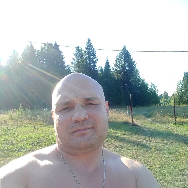  45904791  , 44 ,    