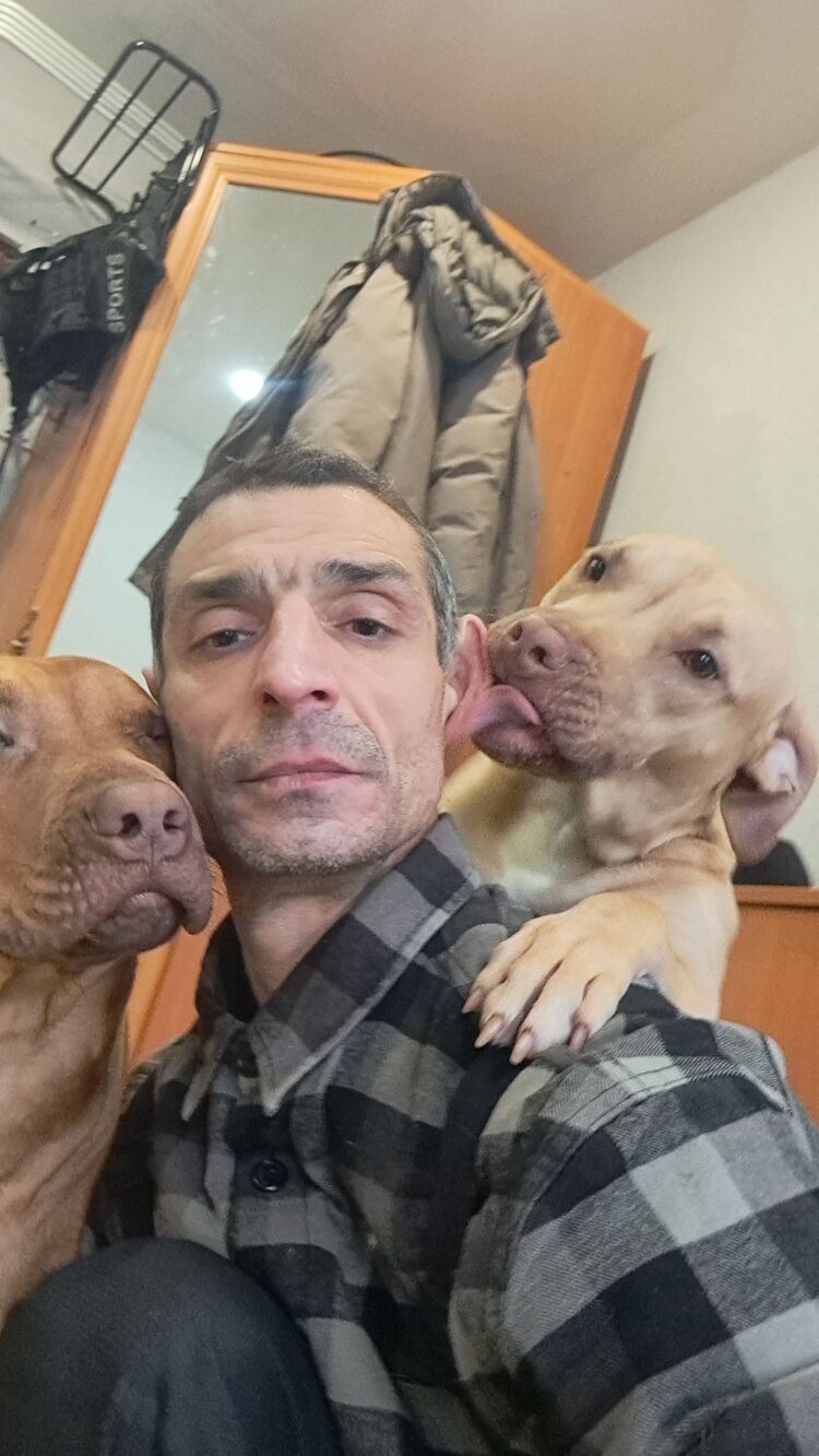 ���������� �����, ���� ������� ���������, 49 ���, ������������ ��� ������, ����� � ���������, c�������� ���������, ���������