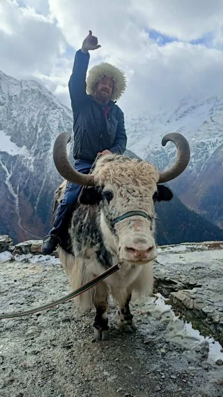 ���������� ������, ���� ������� ������, 44 ����, ������������ ��� ������