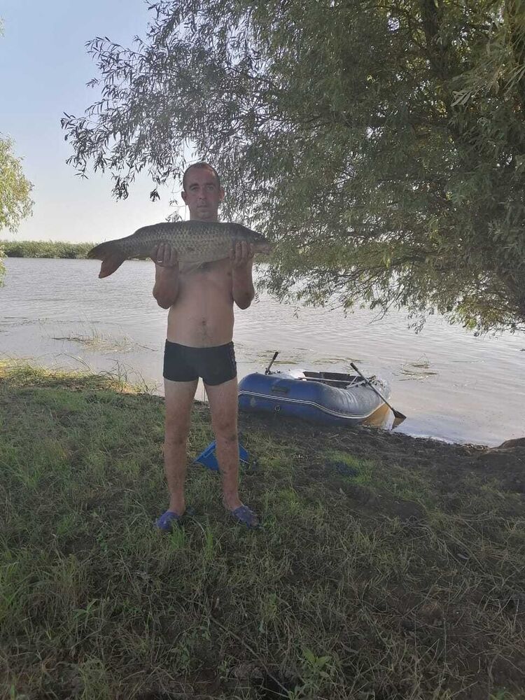 ���� 27955371 ������� �����, 38 ���, ���� ���������� � ������