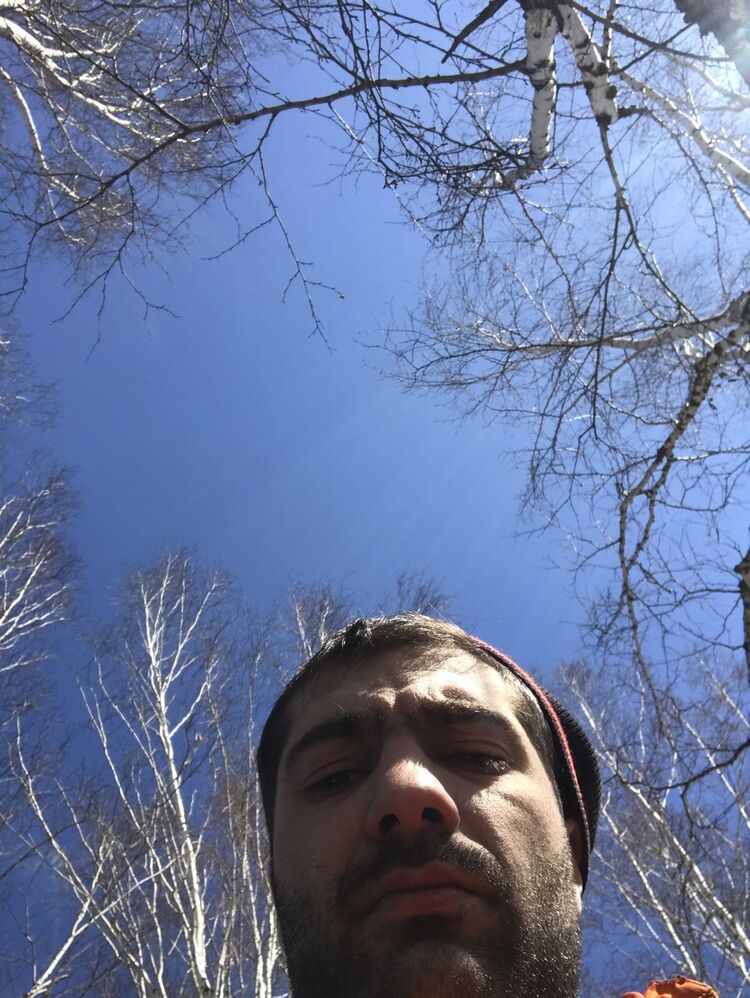  15739781  , 36 ,    