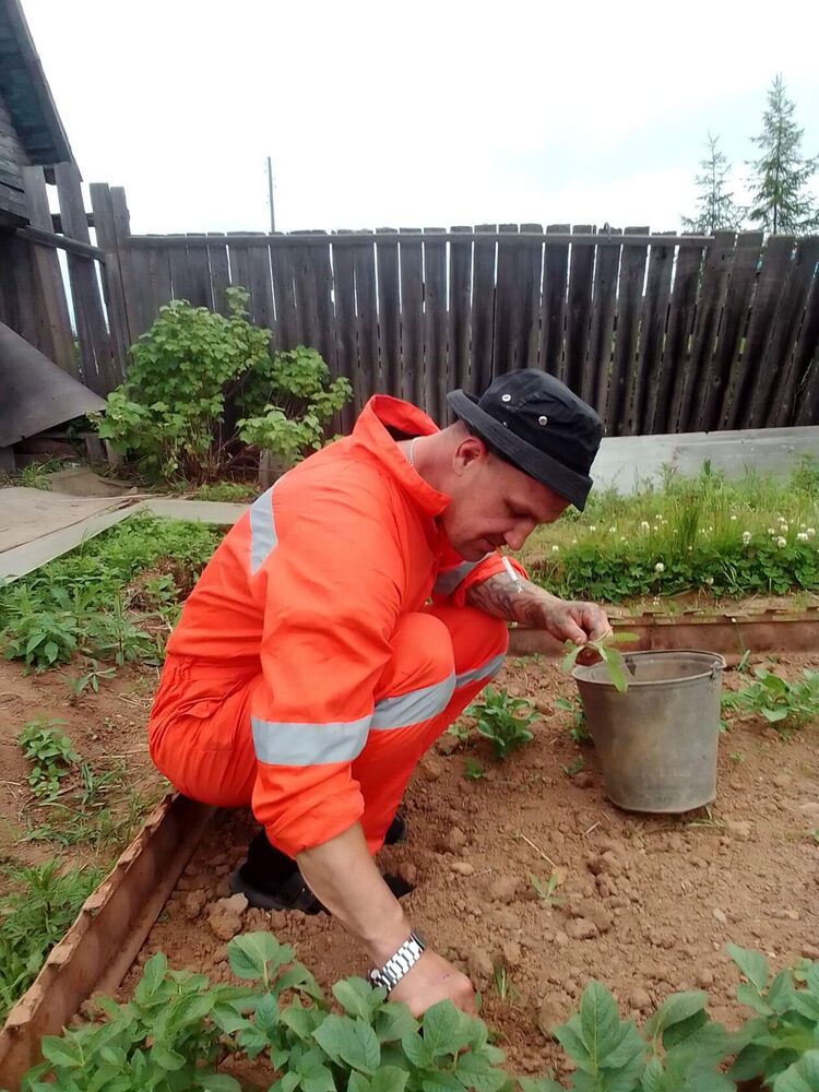 ���������� ������, ���� ������� ������, 38 ���, ������������ ��� ������, ����� � ���������