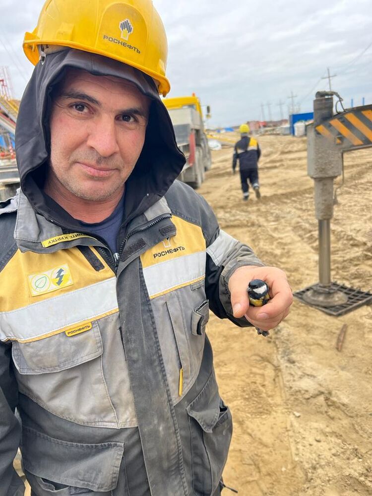 ���������� ����-��, ���� ������� ������, 44 ����, ������������ ��� ������, ����� � ���������