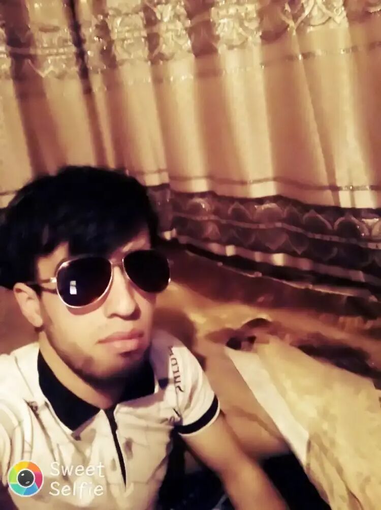  33583531  , 30 ,    