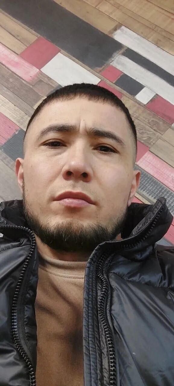  49088511  , 31 ,    