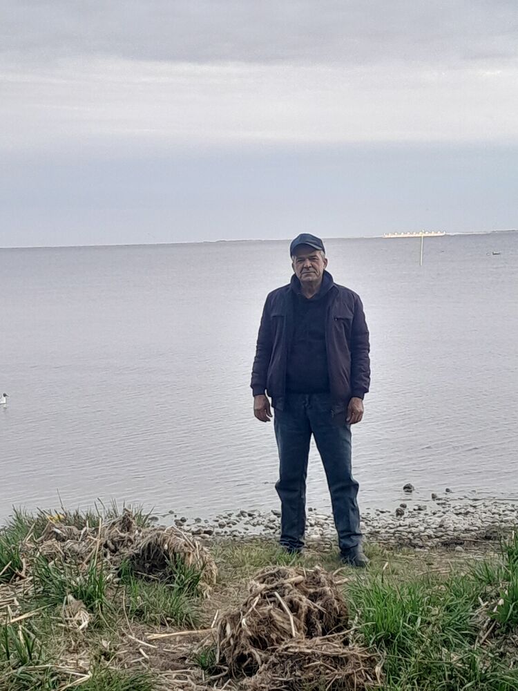  53952211  , 53 ,    -