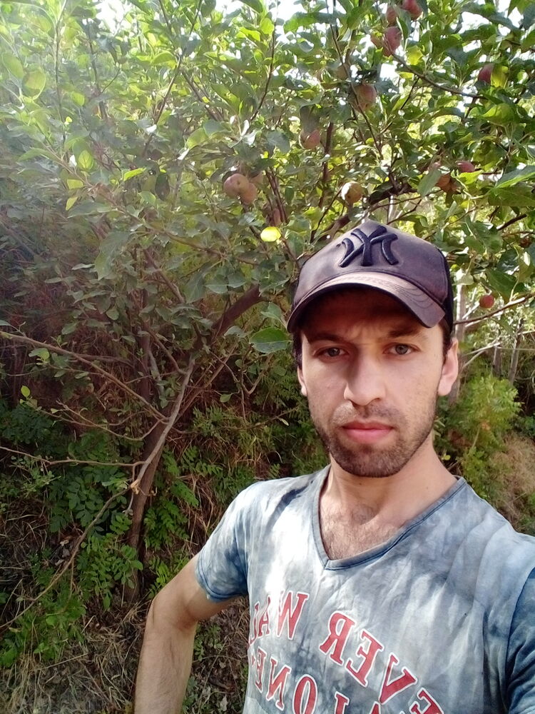 ���� 37961761 ������� ���, 31 ���, ���� ���������� � ����������