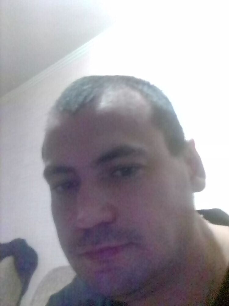  39613051  , 37 ,    