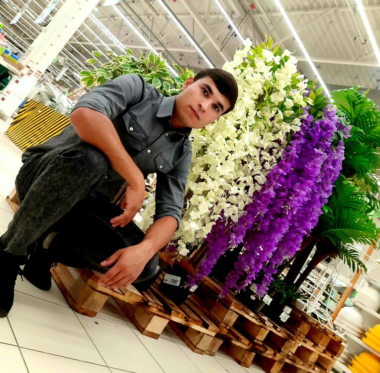 ���� 31712311 ����� ���, 25 ���, ���� ���������� � ���������