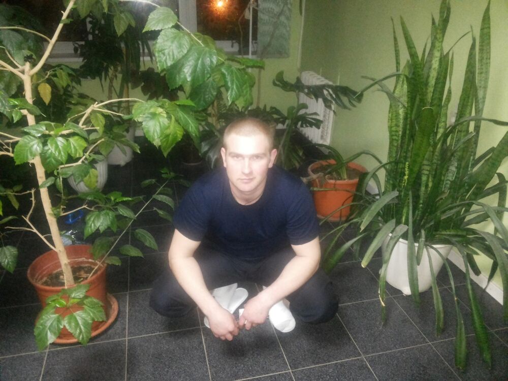 ���� 4177931 ������� ������, 40 ���, ���� ���������� � ������