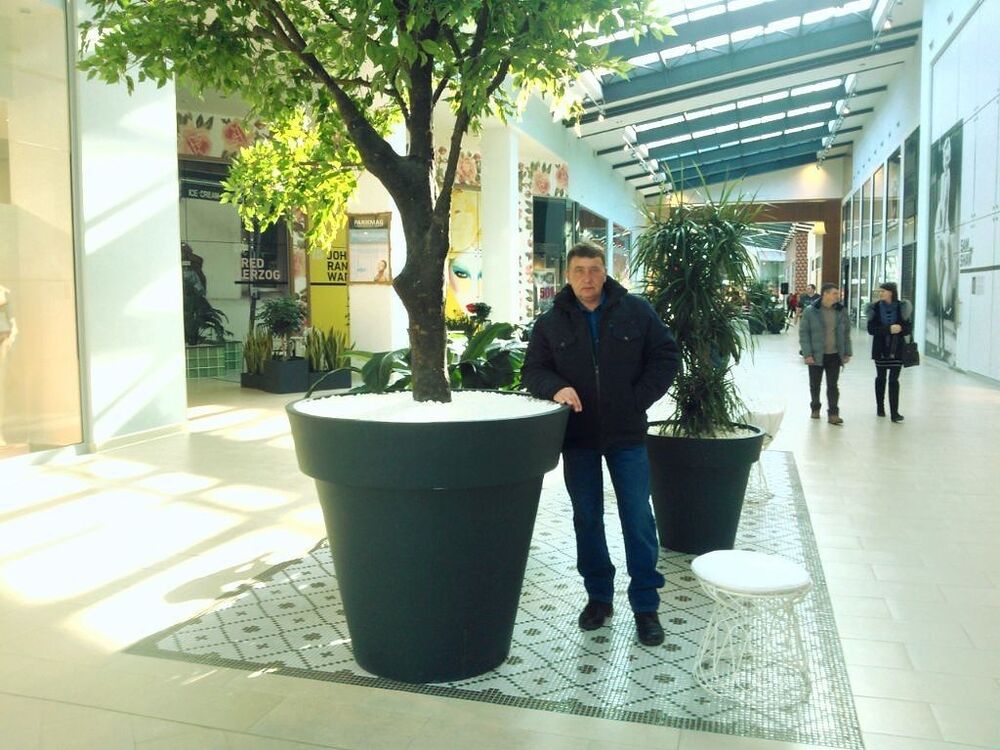  8217441  Vladimir, 56 ,    