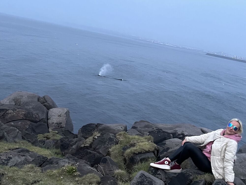 ���������� �������, ���� ������� ���������, 35 ���, ������������ ��� ������, ����� � ���������, c�������� ���������