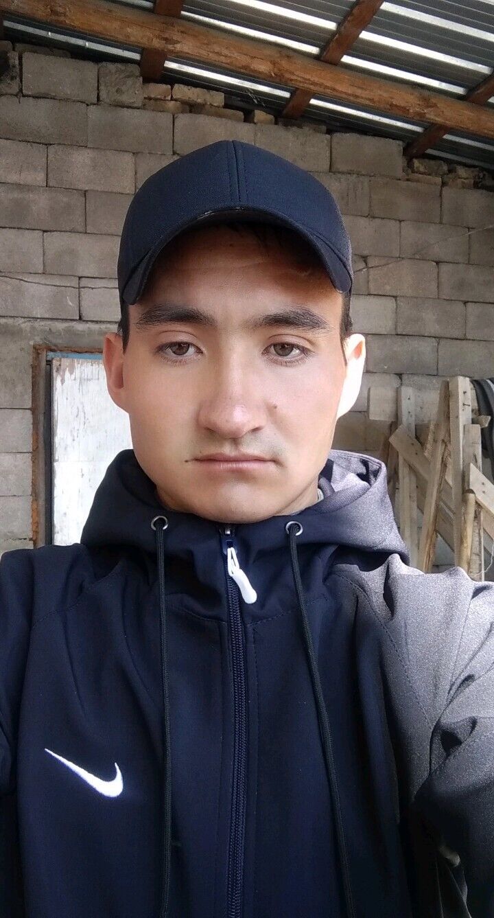  46096601  , 26 ,    