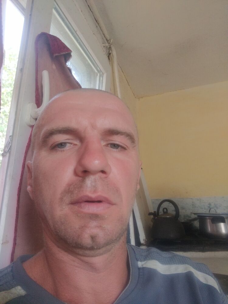  45639591  , 38 ,    