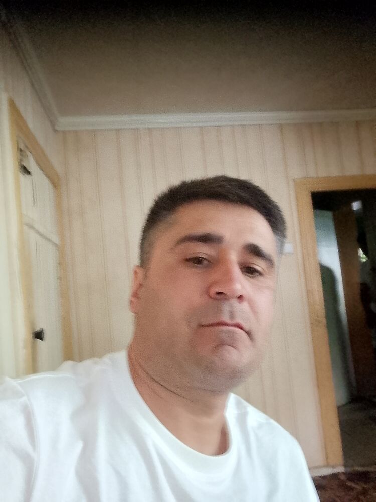  51742641  , 37 ,    