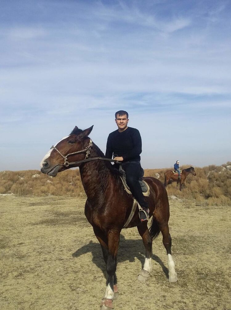 ���������� �����-���������, ���� ������� Shaxa, 34 ����, ������������ ��� ������, ����� � ���������, c�������� ���������