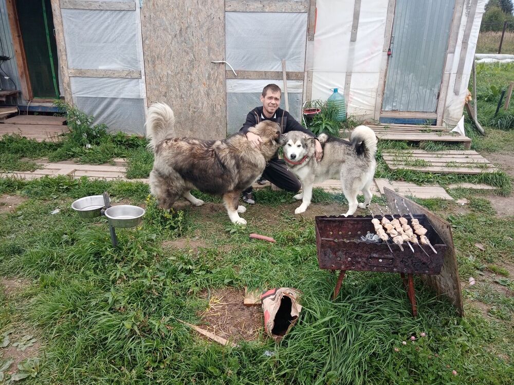 ���� 21559061 ������� ������, 47 ���, ���� ���������� � ������