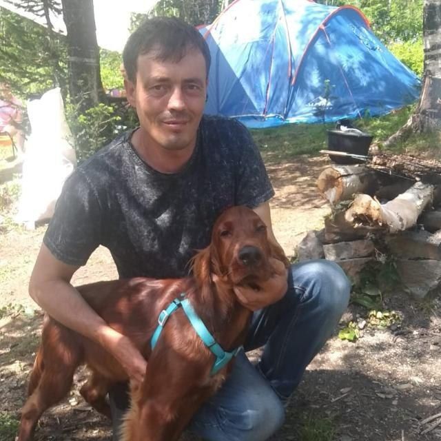 ���� 56170911 ������� ���������, 48 ���, ���� ���������� � ������