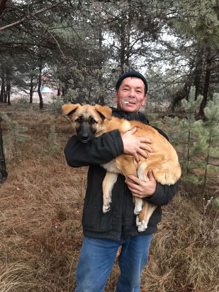 ���� 33578811 ������� �������, 48 ���, ���� ���������� � �����������