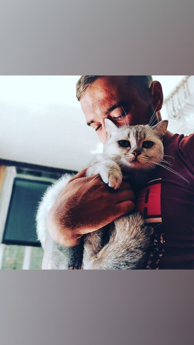 ���� 22207731 ������� �����, 26 ���, ���� ���������� � ������