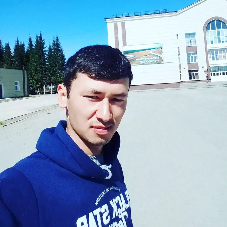  26571861  , 29 ,    -