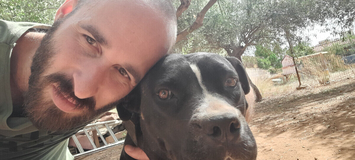 ���� 21517521 ������� ��������, 36 ���, ���� ���������� � �����-����������