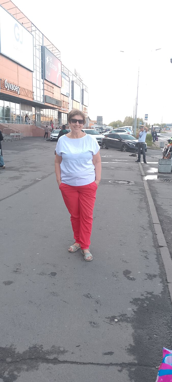  53985681  , 55 ,    -