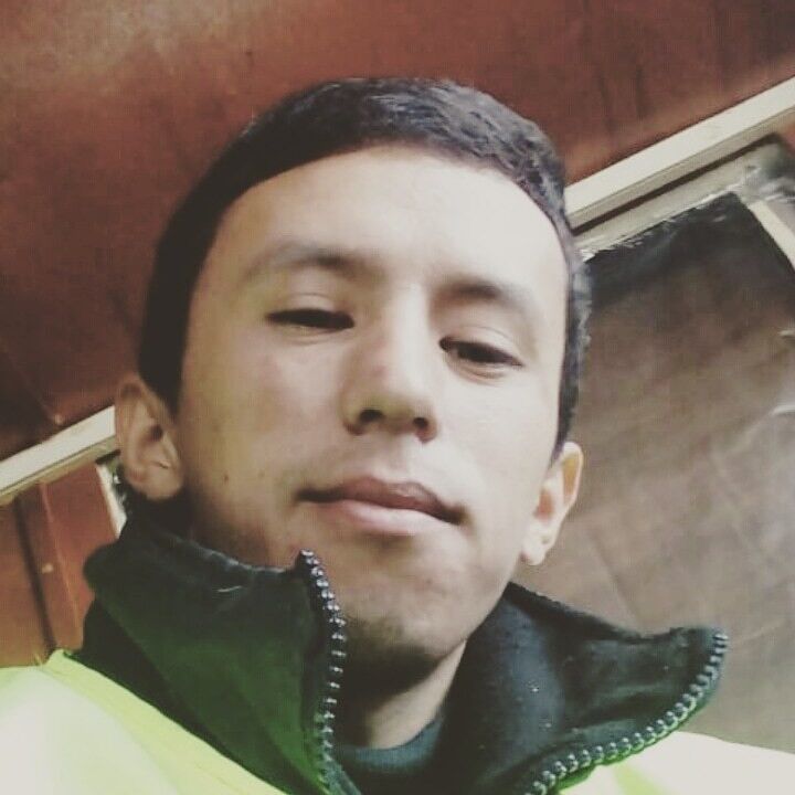 ���� 19591171 ������� �����, 33 ����, ���� ���������� � ������