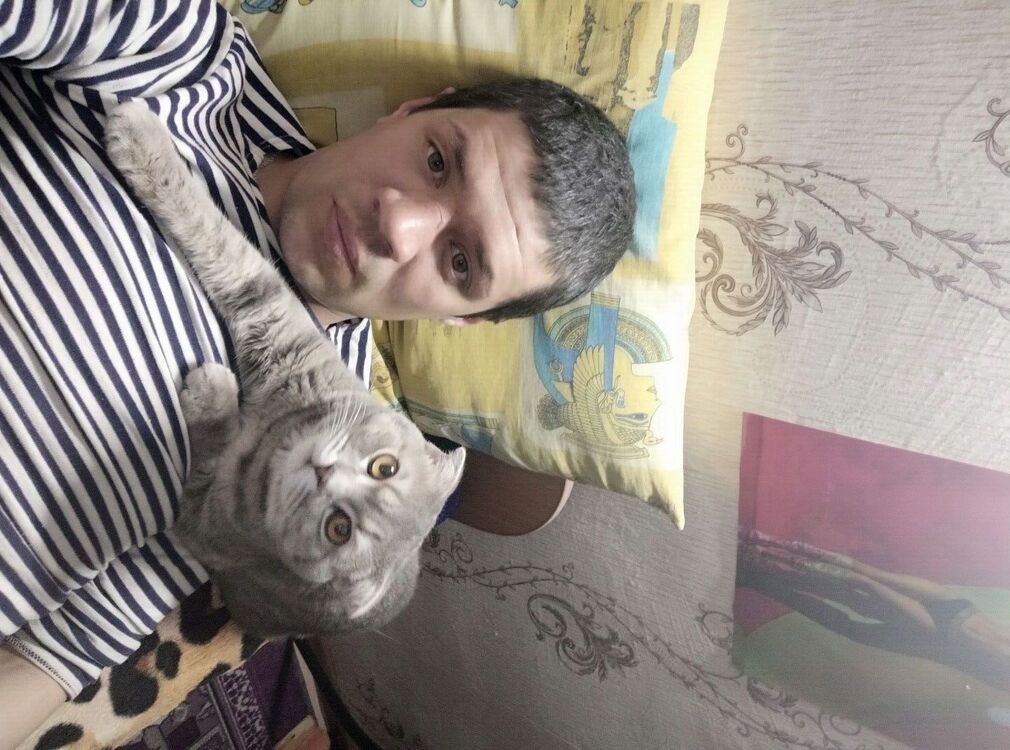 ���������� �����������, ���� ������� ����������, 38 ���, ������������ ��� ������, ����� � ���������