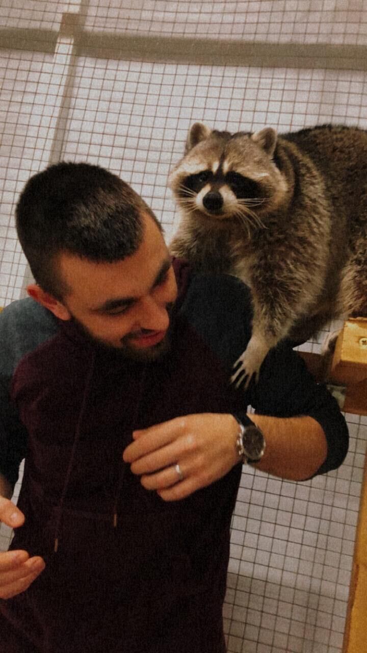 ���������� �����������, ���� ������� Denis, 32 ����, ������������ ��� ������, ����� � ���������