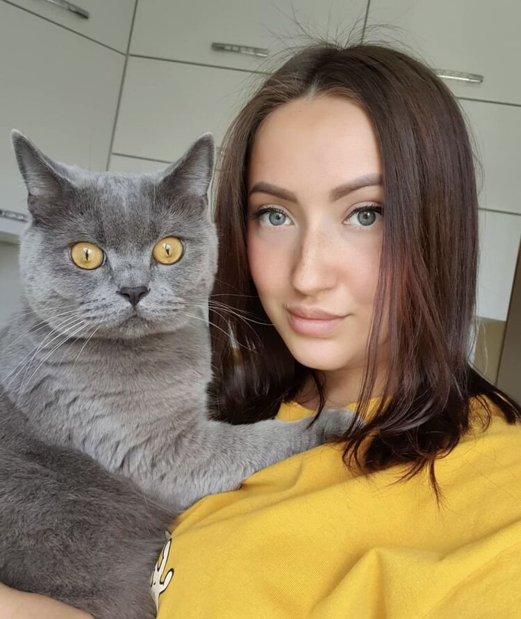  26911181  , 27 ,    -