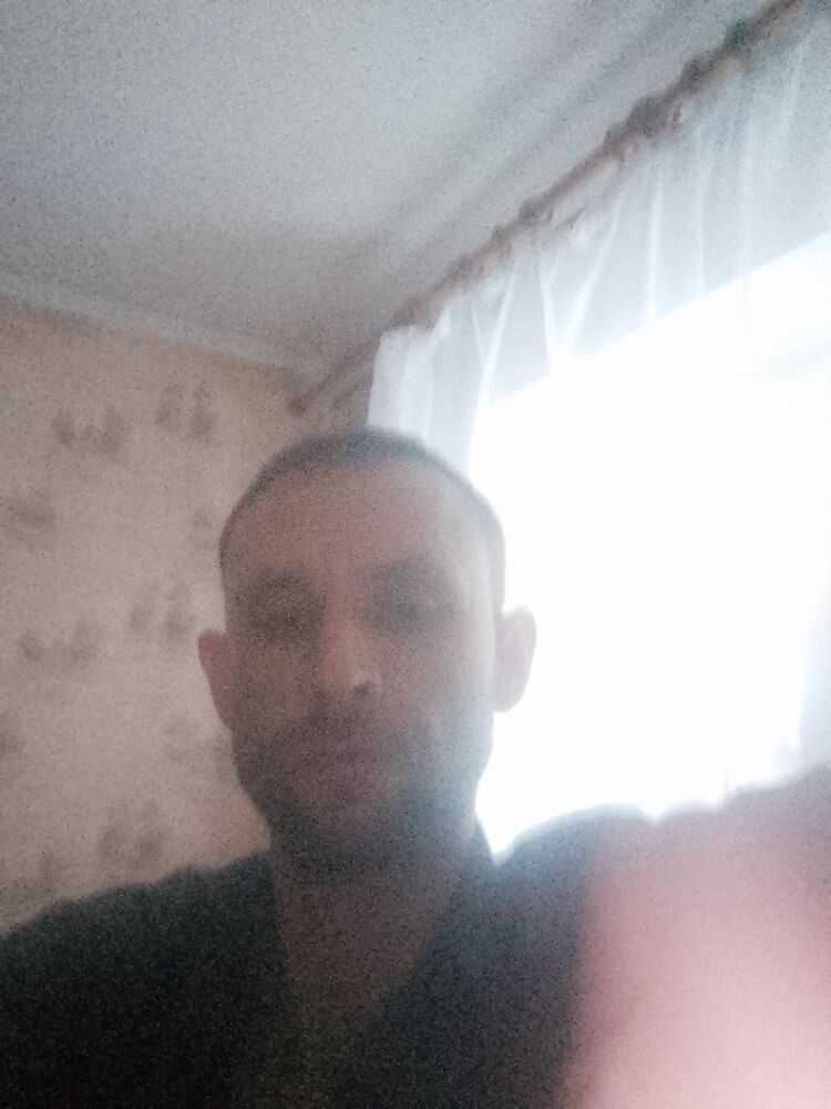  31690191  , 38 ,    