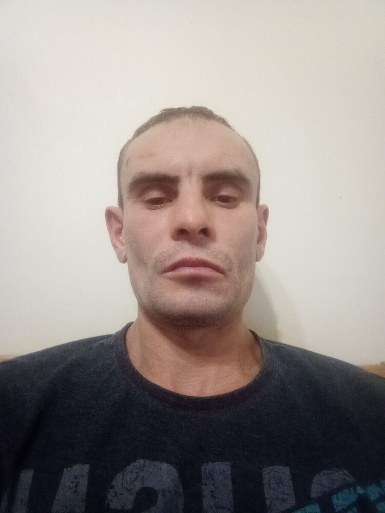  22231831  Ը, 41 ,    -