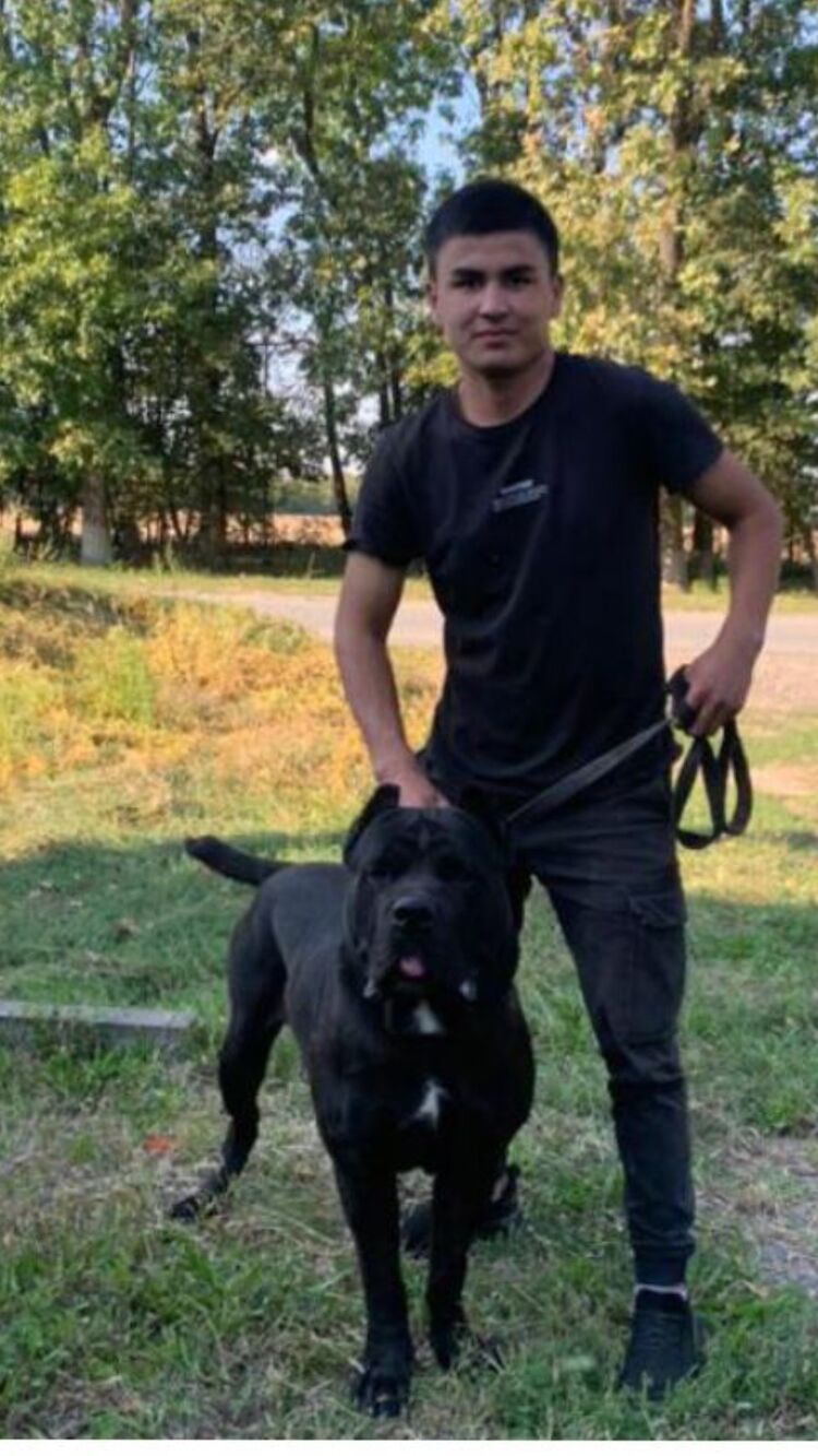 ���������� ������, ���� ������� ������, 28 ���, ������������ ��� ������, ����� � ���������