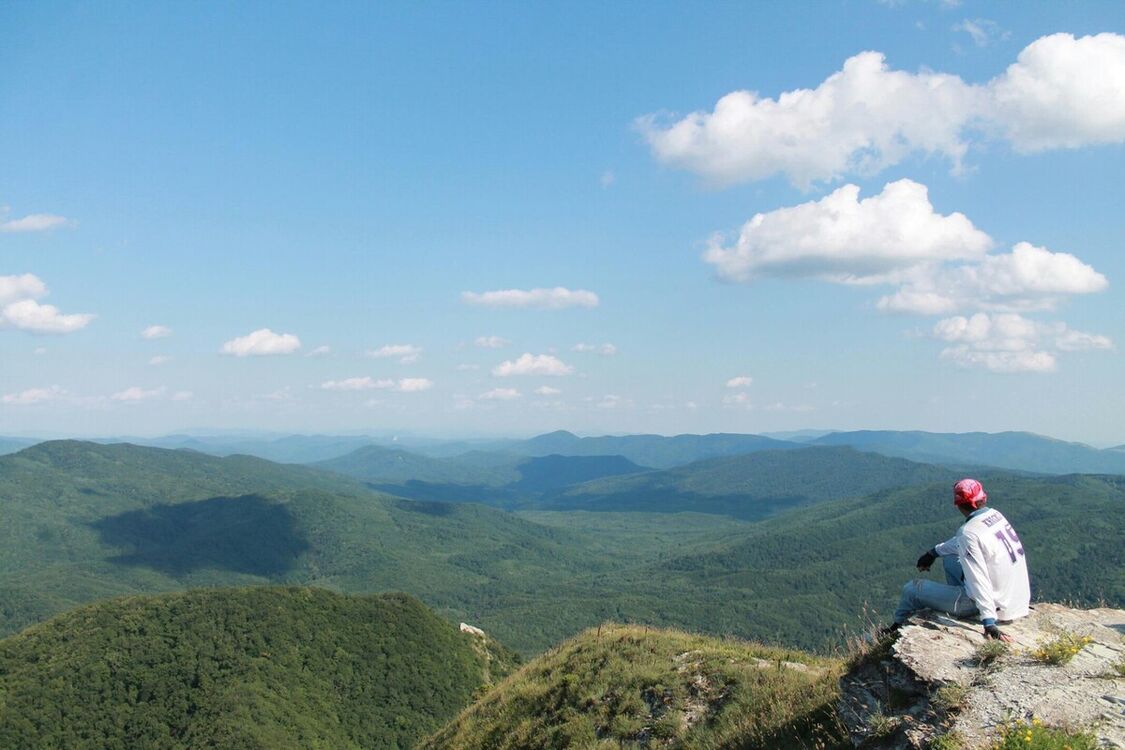 ���� 20296281 ������� ��������, 49 ���, ���� ���������� � �������������