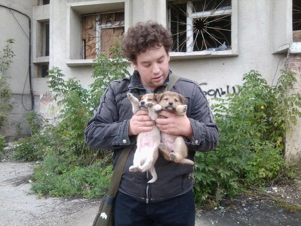 ���� 7416131 ������� �������, 31 ���, ���� ���������� � ����