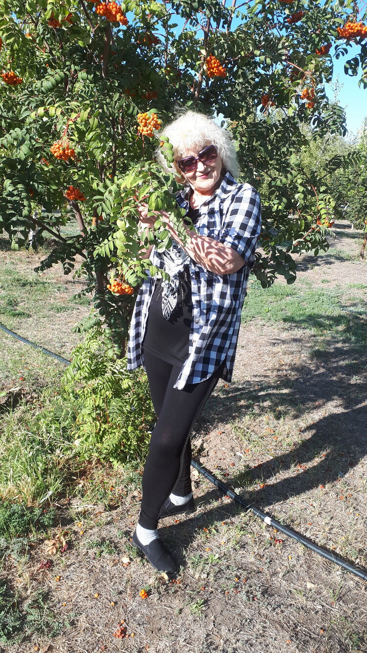 ���������� ������, ���� ������� ����, 59 ���, ������������ ��� c�������� ���������, ���������