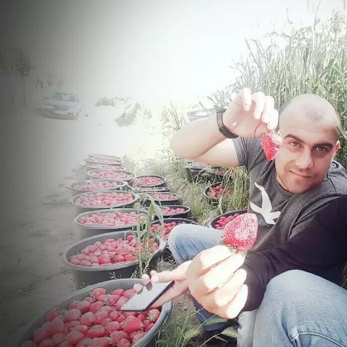  36449061  Askar, 37 ,    