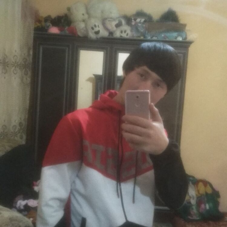 ���������� �������, ���� ����� Bek, 24 ����, ������������ ��� ������, ����� � ���������, c�������� ���������, ���������