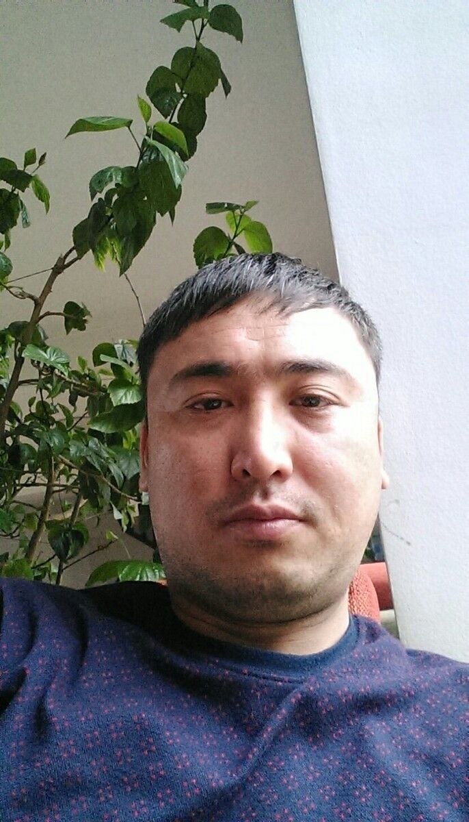  5987151  87477665636, 39 ,    