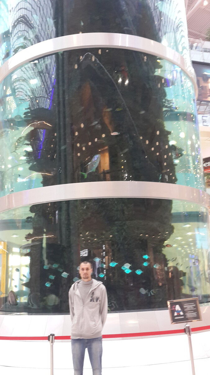 ���������� ������, ���� ������� �������, 37 ���, ������������ ��� ������, ����� � ���������, c�������� ���������