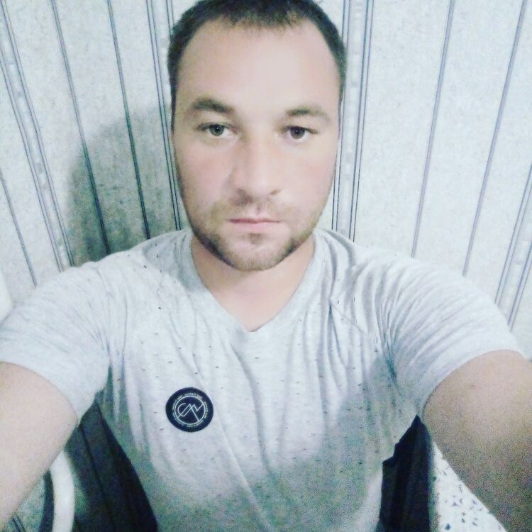  26810201  , 33 ,    