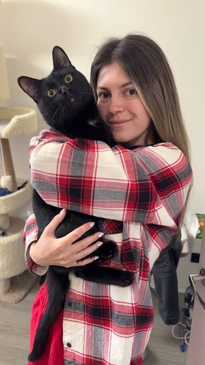 ���� 53574351 ������� ���������, 29 ���, ���� ���������� � ���������