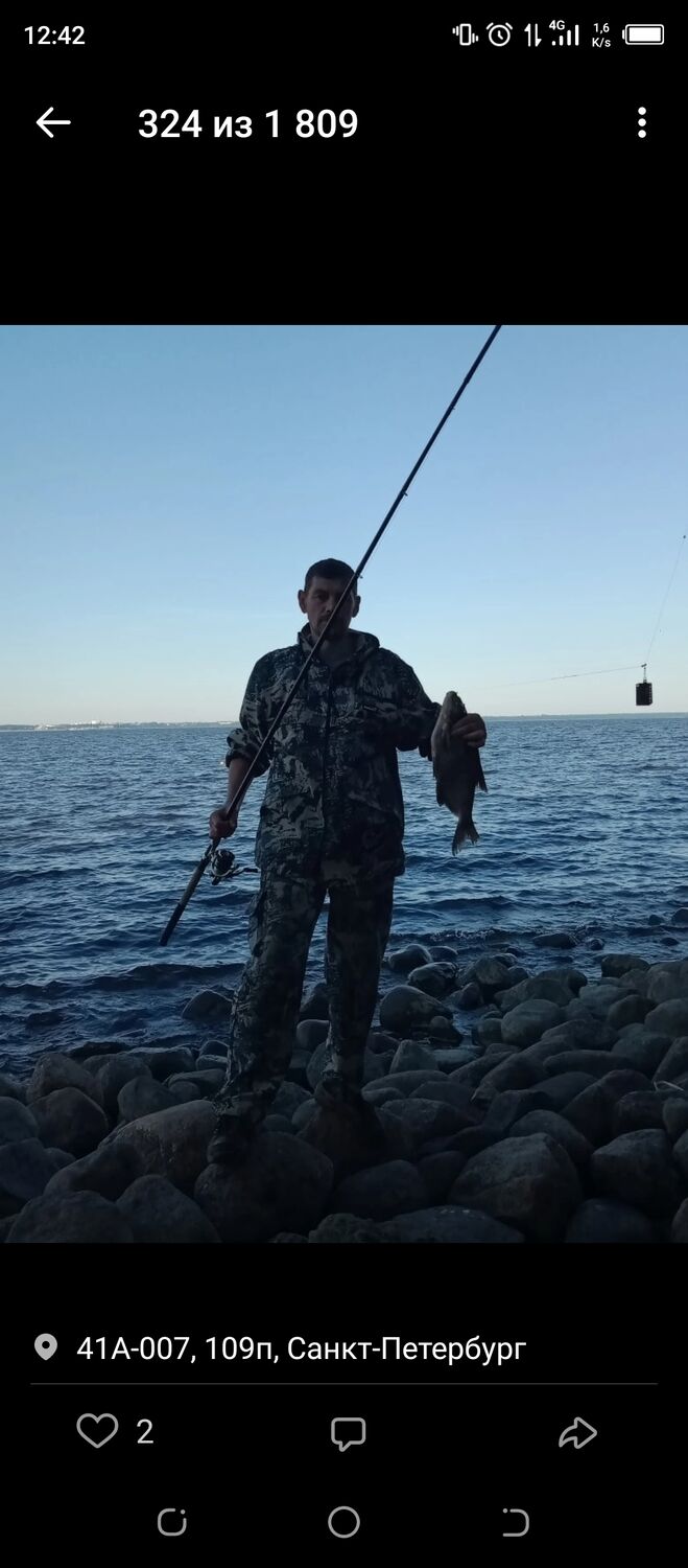 ���������� �����-���������, ���� ������� �������, 48 ���, ������������ ��� ������, c�������� ���������, ���������