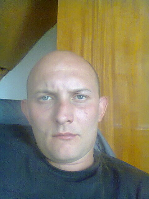   ,   , 41 ,  