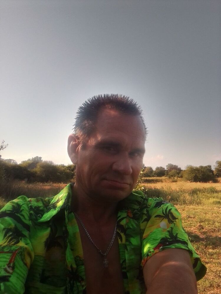 ���� 54196421 ������� Vicyor, 46 ���, ���� ���������� � �������