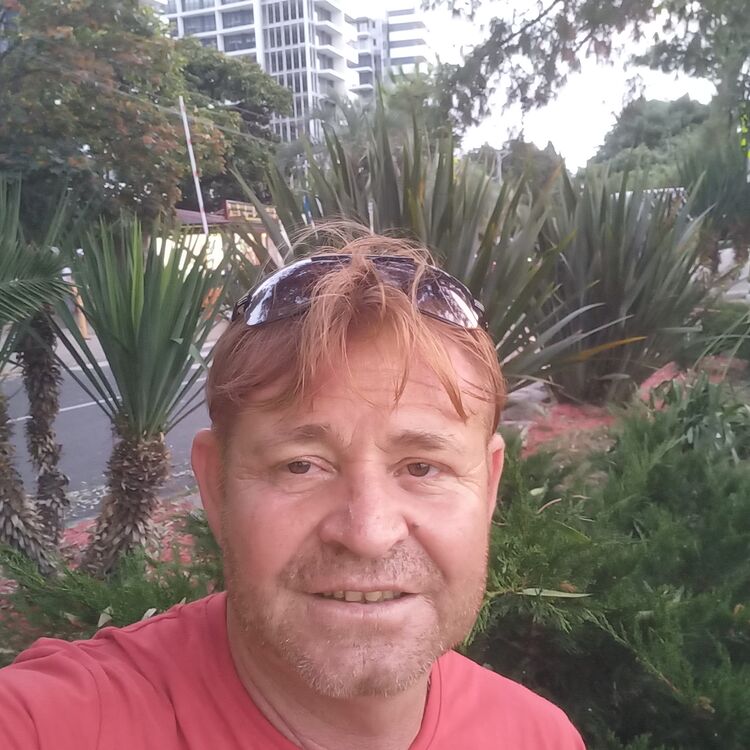  38354551  , 51 ,    -